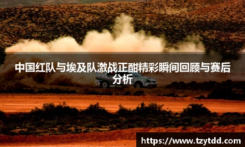 中国红队与埃及队激战正酣精彩瞬间回顾与赛后分析